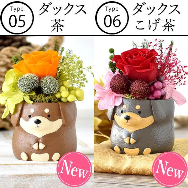誕生日プレゼント お祝い プレゼント 花 プリザーブドフラワー お菓子 和菓子 セット ギフト 花とスイーツ スイーツ 60代 70代 80代 AA : gift-issuna2:花とスイーツ おいもや - 通販 - Yahoo!ショッピング 誕生日プレゼント お祝い プレゼント 花 プリザーブドフラワー お菓子 和菓子 セット ギフト 花とスイーツ スイーツ 60代 70代 80代 AA : gift-issuna2:花とスイーツ おいもや - 通販 - Yahoo!ショッピング