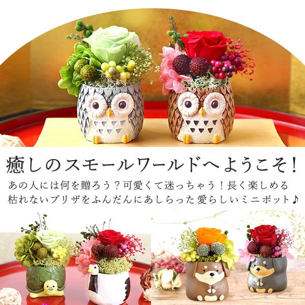 誕生日 プレゼント 女性 ギフト 花 お菓子 スイーツ 花とスイーツ プリザーブドフラワー 和菓子 ミニ ペア 動物 母 おばあちゃん 50代 60代 70代 | おいもや | 03