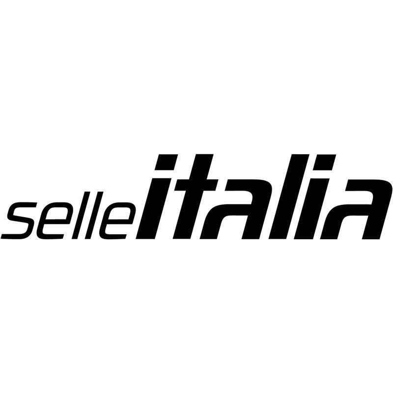 ☆お求めやすく価格改定☆ SELLE  ITALIA(セライタリア) MILANO FLITE RACER Ti316