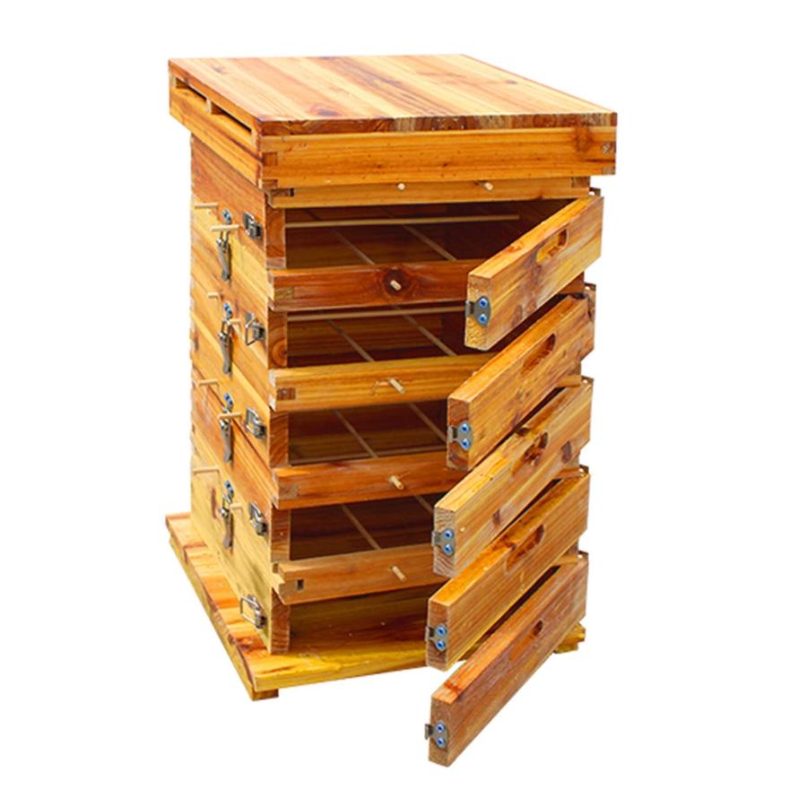 3/5階 蜜蜂巣箱 ミツバチ 巣箱 重箱式 養蜂箱 杉材 蜂ハイブ 格子箱 煮蝋 蜜蜂飼育箱 巣枠不要 自然造蜜 防水性と防食性 (Color :  5階/5窓) : p210077568668 : OiOIOI-STORE - 通販 - Yahoo!ショッピング