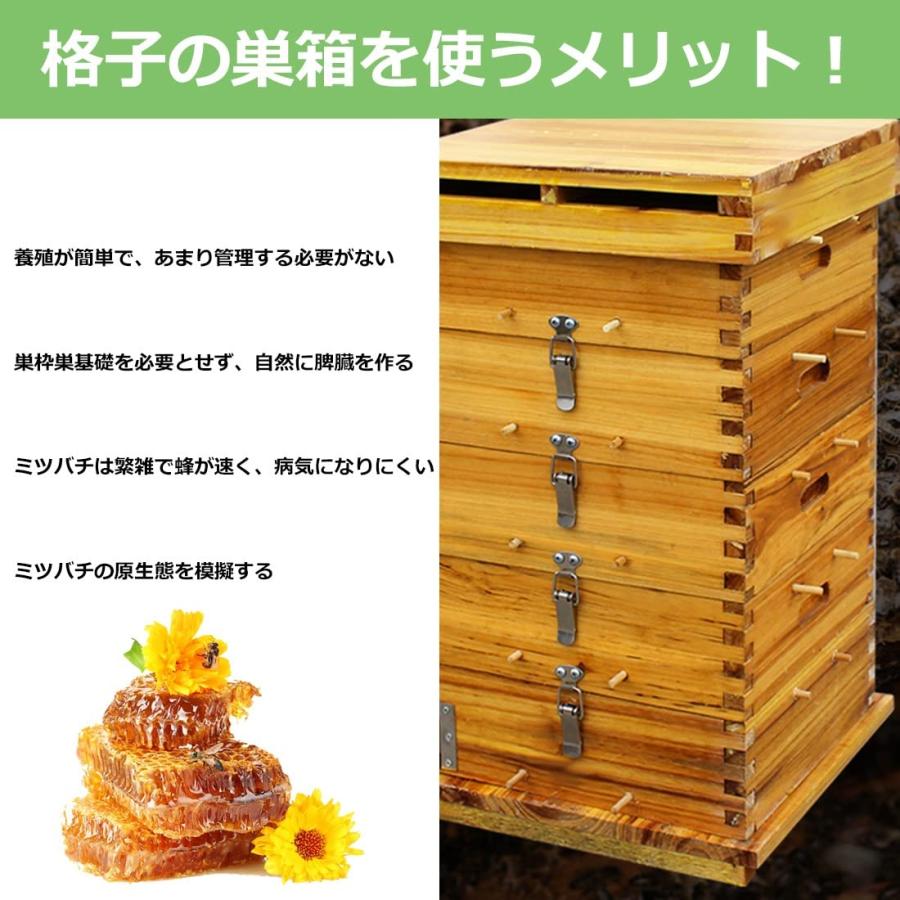3/5階 蜜蜂巣箱 ミツバチ 巣箱 重箱式 養蜂箱 杉材 蜂ハイブ 格子箱 煮 