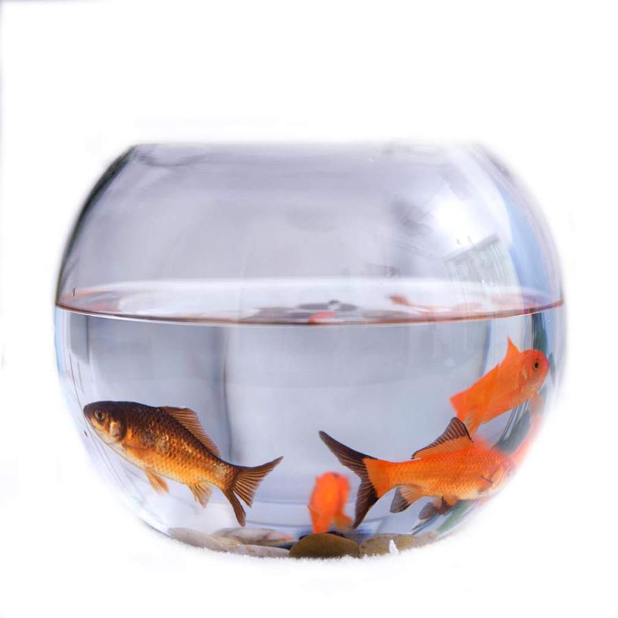 ガラス 魚 水槽 金魚鉢 new 透明 水槽装飾 インテリア 熱帯魚 シンプル 山デザイン 一体化 大