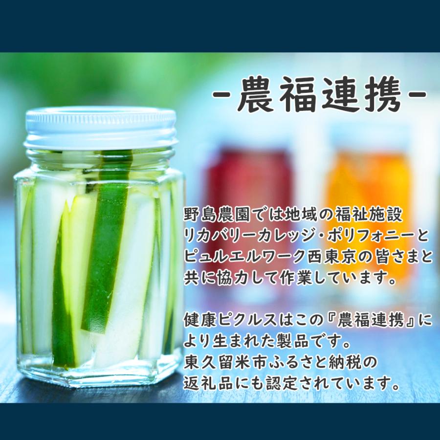 季節野菜の健康ピクルス 母の日 父の日 ギフト 3本セット 野島自然農園　無農薬 有機栽培 プレゼント ヘルシー ダイエット｜oira-yshop｜04