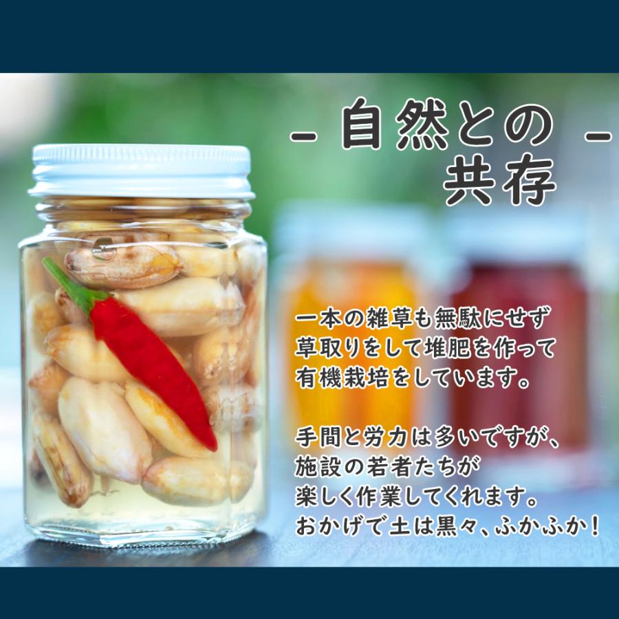 季節野菜の健康ピクルス 母の日 父の日 ギフト 3本セット 野島自然農園　無農薬 有機栽培 プレゼント ヘルシー ダイエット｜oira-yshop｜05