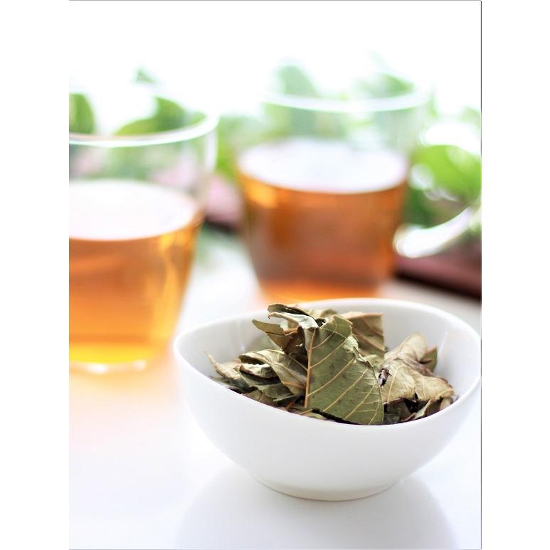 ばんじろう(グアバ)茶100ｇ 健康茶　奄美大島　ばんじろう茶　グアバ茶　ダイエット　｜oira-yshop｜02