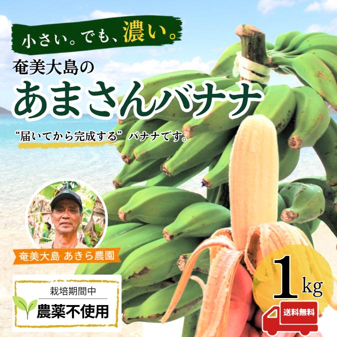 あまさんバナナ 1kg  奄美大島 島バナナ 国産バナナ 無農薬 ご自宅用 | 
