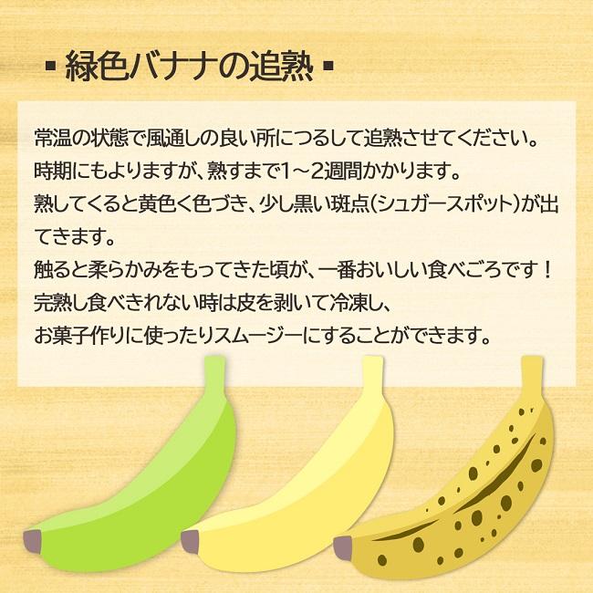 あまさんバナナ 10kg  奄美大島 島バナナ 国産バナナ 無農薬 ご自宅用｜oira-yshop｜06