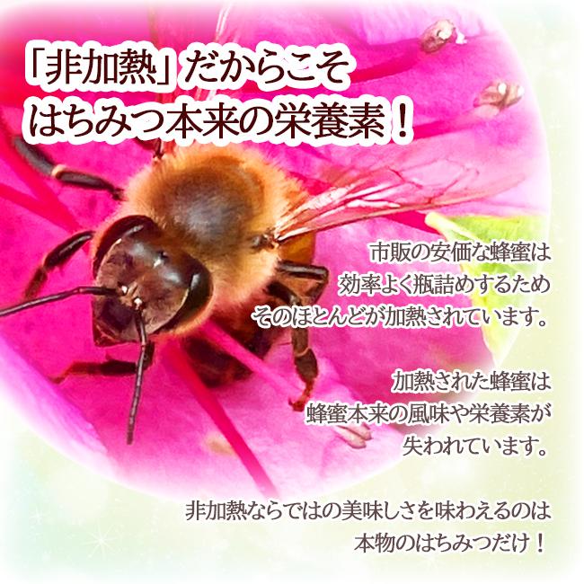 国産天然はちみつ スイーツギフト 純粋 非加熱 無添加 純度100 国産天然はちみつ スイーツギフト 純粋 非加熱 無添加 純度100