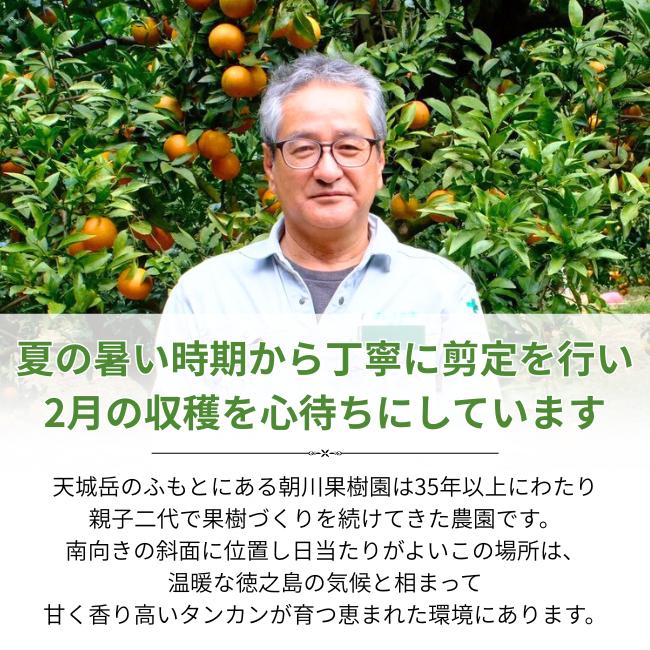 訳あり】たんかん 奄美徳之島産5kg｜朝川果樹園｜ご家庭用サイズ