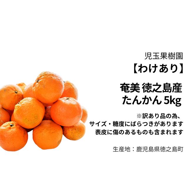 徳之島産 たんかん① レオまま様専用 【公式通販】