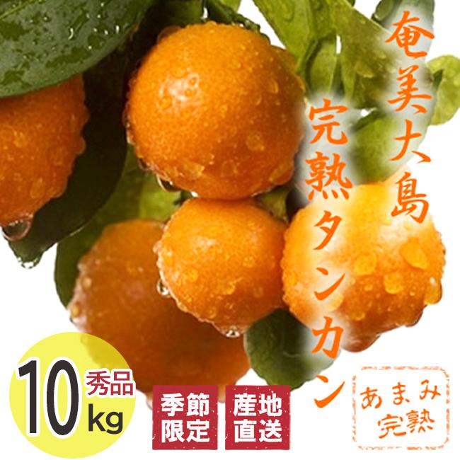 奄美大島タンカン 完熟たんかん みかん 秀品10kg【2025年2月中旬 奄美大島タンカン 完熟たんかん みかん 秀品10kg【2025年2月中旬