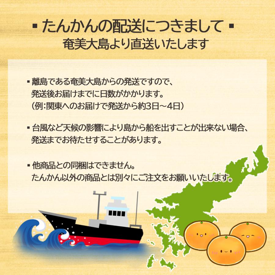 奄美大島タンカン 完熟たんかん みかん 秀品10kg【2025年2月中旬 奄美大島タンカン 完熟たんかん みかん 秀品10kg【2025年2月中旬