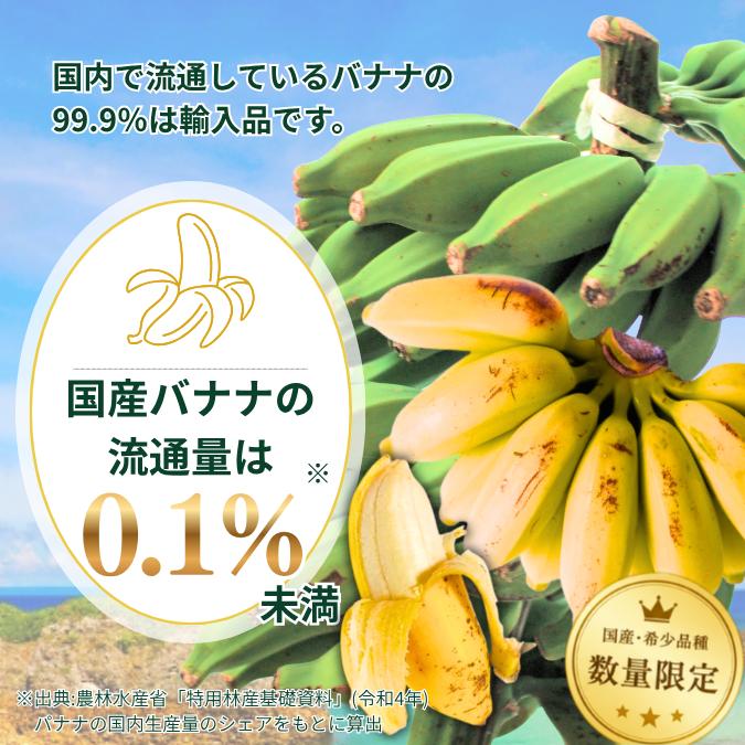 国産バナナ 無農薬 自然栽培 奄美喜界島産 三尺バナナ 5kg : おらが 