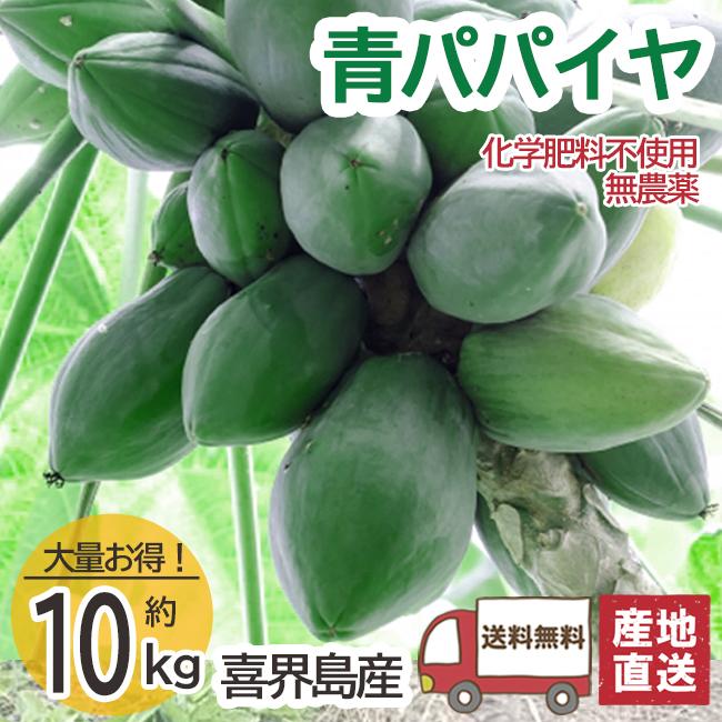 青パパイヤ 約6kg 6個 中 ～特大サイズ 自然栽培 無農薬 C 稼げる新