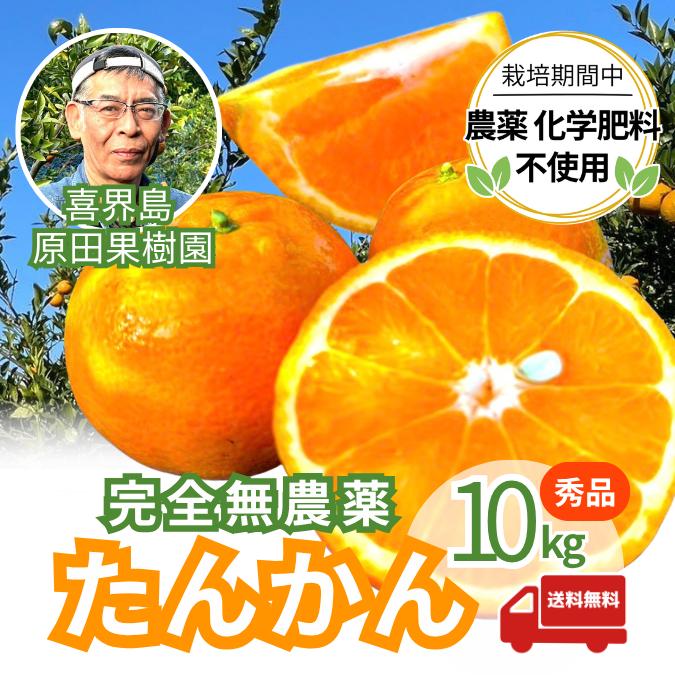 （値引）奄美大島産　たんかん　農薬・化学肥料不使用栽培　加工用　15キロ 奄美大島産】島たんかん🍊農薬不使用栽培○ご家庭用3キロ○芳醇な香り