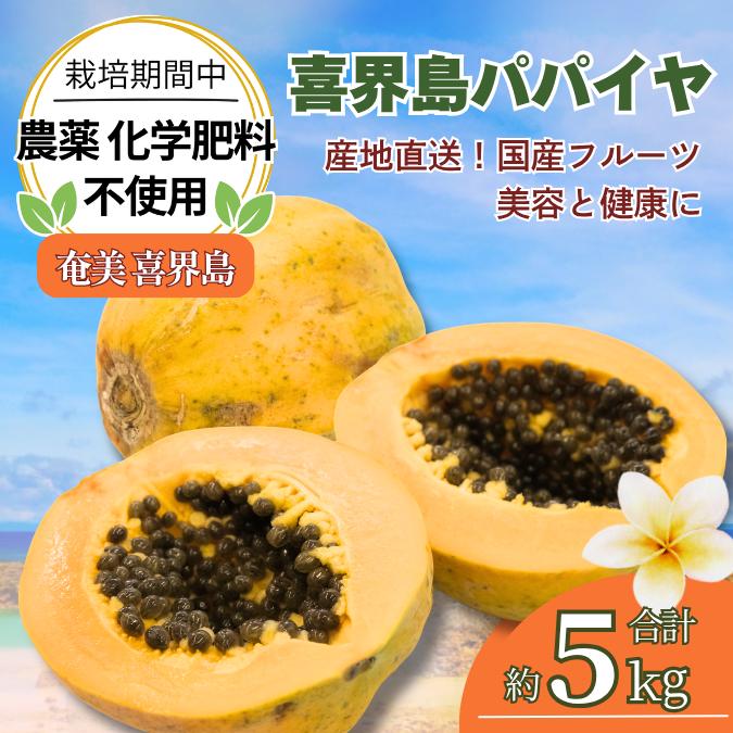 国産パパイヤ 喜界島産 フルーツパパイヤ5kg 無農薬 南国フルーツ 冷凍