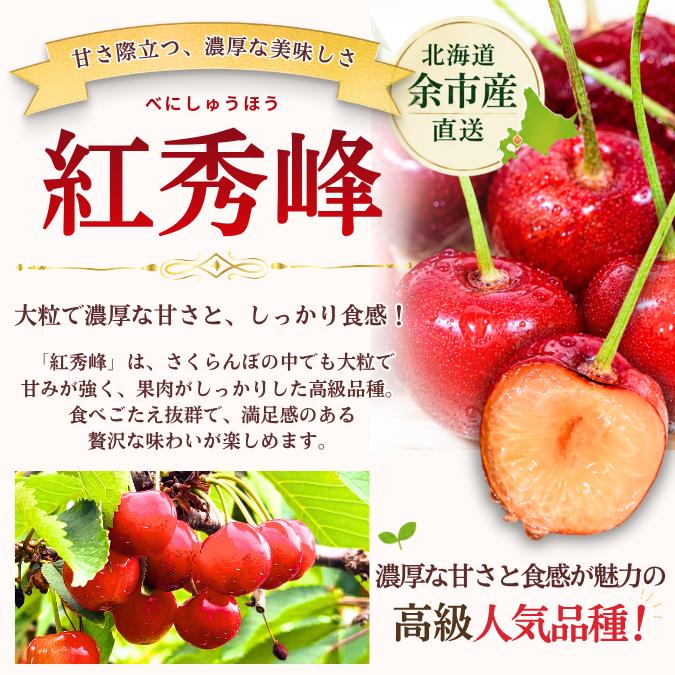 関西 東海 北海道エリア限定 紅秀峰1kg2Lから3Lサイズ 楽天市場