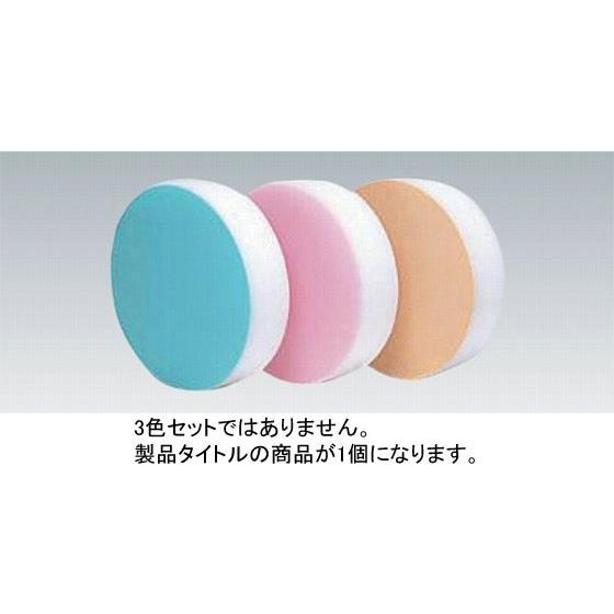 605-01 積層 プラスチックカラー中華まな板 中 ブルー153mm 330012520