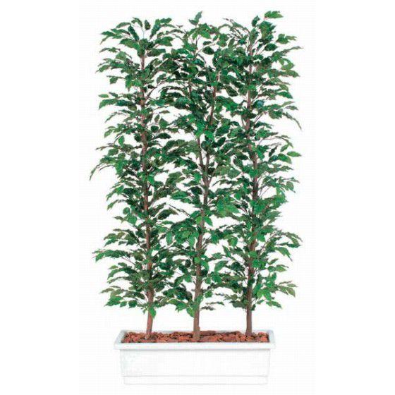 1321-01 ベンジャミナスプラッシュパーテーション 96372 892000210