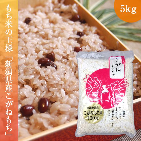 新潟県産こがねもち 5kg (1kg×5個) もち米 令和5年産 お米｜oishii-foods