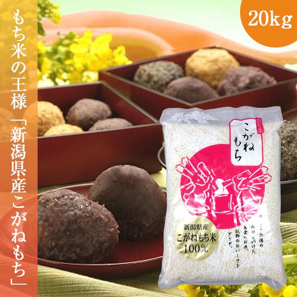 新潟県産こがねもち 20kg もち米 令和5年産 お米  (1kg×20袋)｜oishii-kome