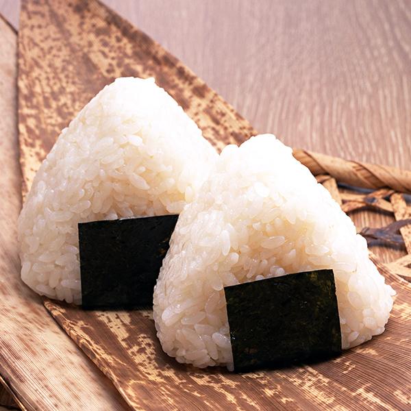 コシヒカリ 令和7年産 玄米 新米 新潟県産 10kg 送料無料 お米 低温
