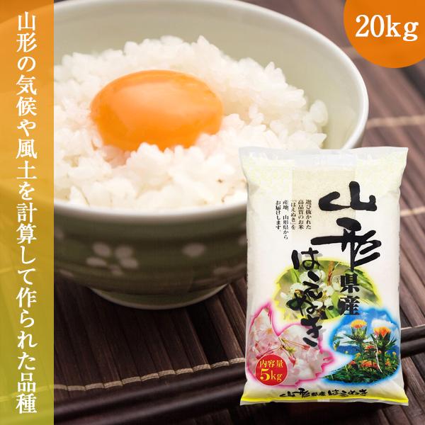 令和6年産はえぬき白米20kg