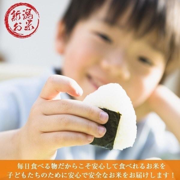 新潟ミルキークイーン 20kg (5kg×4袋 ) 令和7年産 お米 白米_2
