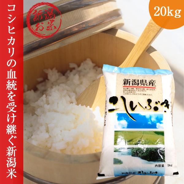 新潟 こしいぶき 20kg (5kg×4) 令和7年度 コシイブキ 新米 白米 送料無料