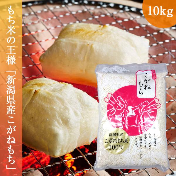 もち米 10kg こがねもち 令和7年産 お米 新潟県産 送料無料 (1kg×10袋)