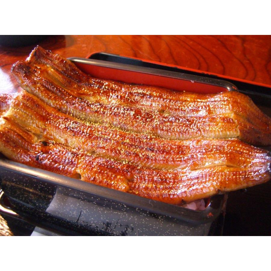 鰻 国産 蒲焼 父の日ギフト 特大2本 生 焼きたて愛知県三河一色産特大うなぎの蒲焼き1尾0g 240g2尾合計400 480g Asayaki Unagi 2bi 美味しい魚ドットネット 通販 Yahoo ショッピング
