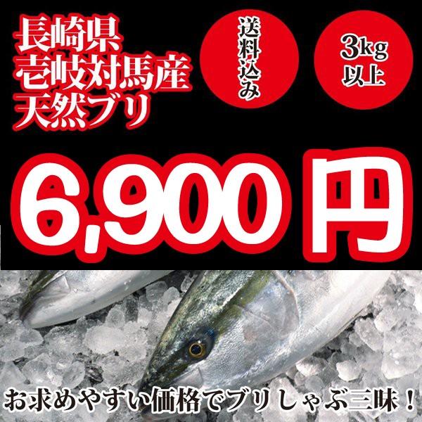 2023年入荷次第発送開始！壱岐対馬産 天然寒ブリ3kg以上｜oishii-sakana