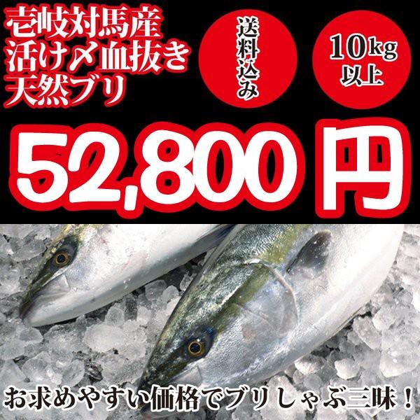 22年入荷次第発送開始 食品 壱岐対馬産 壱岐対馬産 天然寒ブリ10kg以上 活け〆血抜き神経抜き Ikitsushima Buri 10 天然寒ブリ10kg以上 活け〆血抜き神経抜き 美味しい魚ドットネット 中古美品