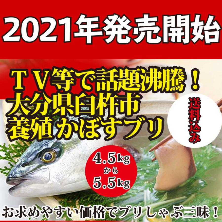 2023年も絶賛！発送開始！4.5kgから5.5kg送料無料！テレビで話題沸騰中！大分県臼杵市養殖 かぼすブリ｜oishii-sakana