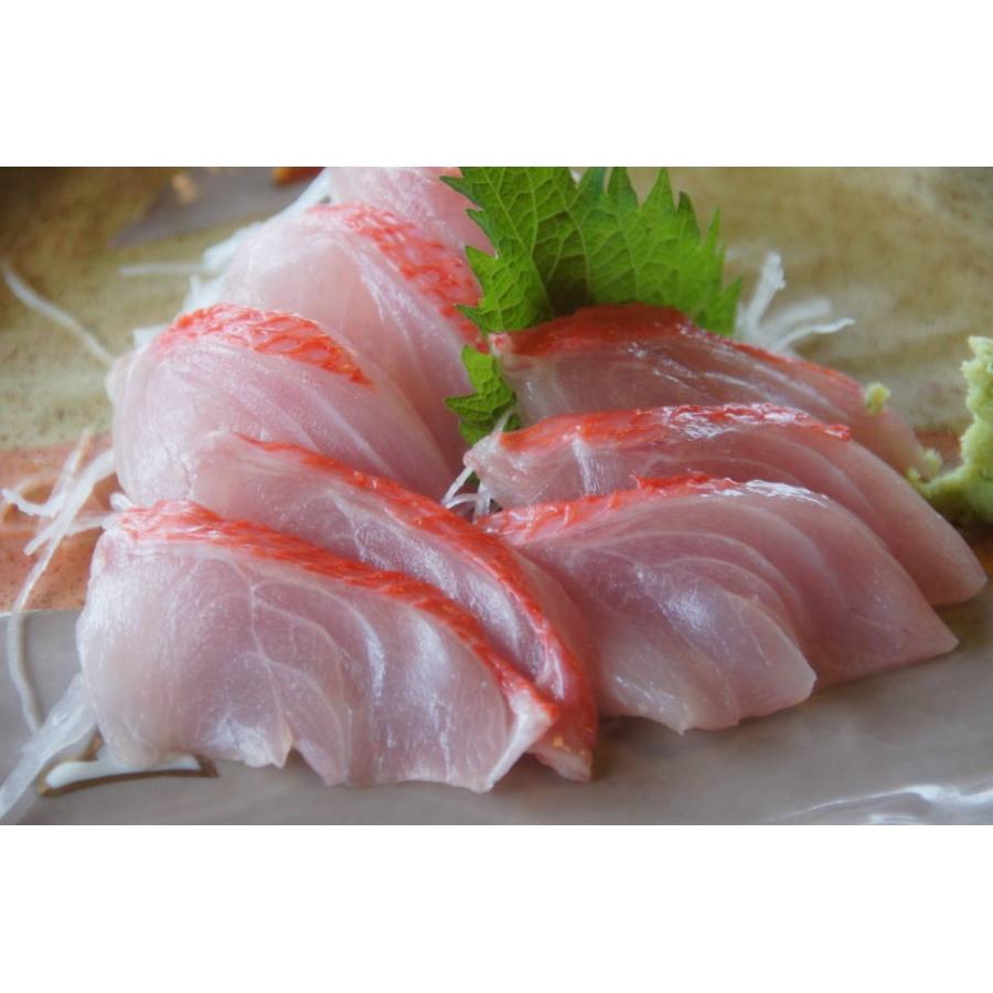国産 金目鯛1kg前後 千葉県産 静岡県産 高知県産の中から一番鮮度の良い物を発送します Kinmedai01 美味しい魚ドットネット 通販 Yahoo ショッピング