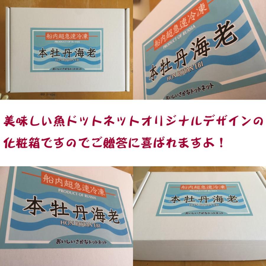 父の日 ギフト 御中元 刺身用！ヤフーのボタンエビ人気ランキング1位獲得！お歳暮やギフトに！1kgで何と！14〜16尾！超特大LLサイズ最高級本ボタンエビ｜oishii-sakana｜06