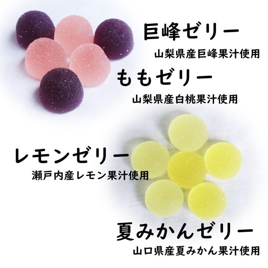 八雲製菓 国産果汁 プチゼリー 選べる3品セット 10種類塗中からお好き