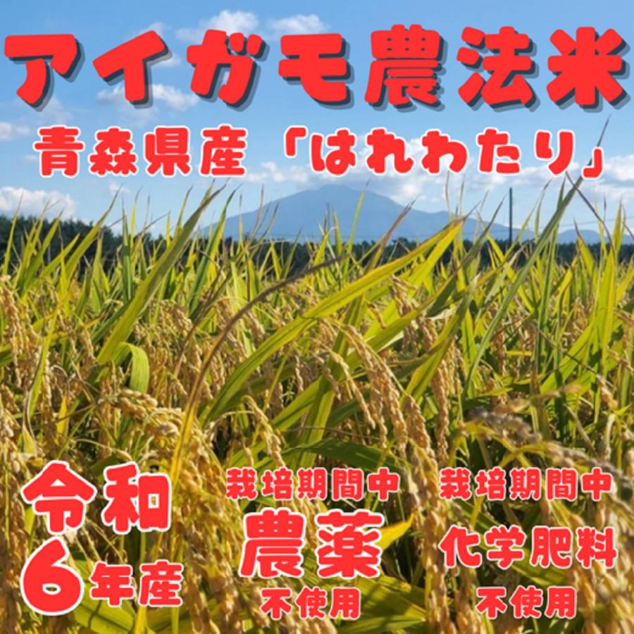 新米 10kg 令和6年度産 栽培期間中農薬不使用 アイガモ農法米 新米 10kg 令和6年度産 栽培期間中農薬不使用 アイガモ農法米