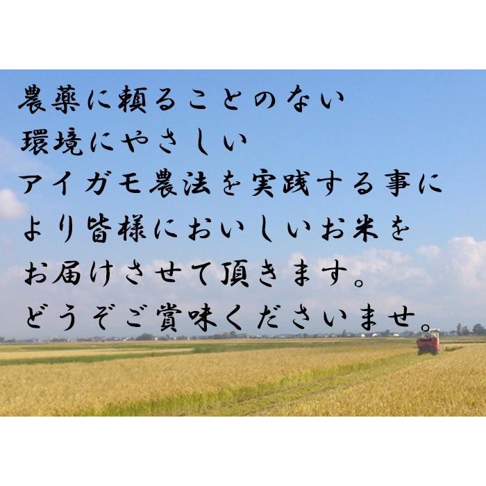 新米 10kg 令和6年度産 栽培期間中農薬不使用 アイガモ農法米 新米 10kg 令和6年度産 栽培期間中農薬不使用 アイガモ農法米