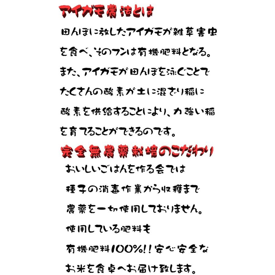 新米】令和4年度産 完全無農薬栽培 アイガモ農法米 つがるロマン 5kg 玄米 白米 :nqy4434z6w:おいしいごはんをつくる会 - 通販 - Yahoo!ショッピング 新米】令和4年度産 完全無農薬栽培 アイガモ農法米 つがるロマン 5kg 玄米 白米 :nqy4434z6w:おいしいごはんをつくる会 - 通販 - Yahoo!ショッピング