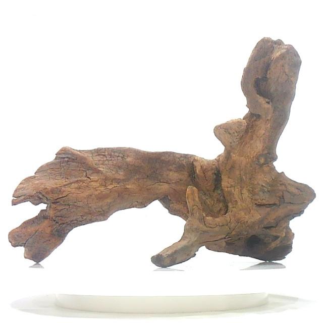 変形流木 幅26cm 高さ15cm アクアリウム 飼育ケージ 水槽固定用プレート 別料金 洗浄済み無加工 送料無料 一部除く 返金保証 長良川流木 Atf M29 Ryo Atf M29 150s 流木と流木 通販 Yahoo ショッピング