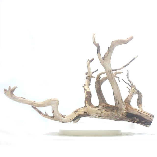 変形流木 幅44cm 固定用プレート付き アクアリウム テラリウム 飼育ケージ 洗浄済み無加工 送料無料 一部除く 返金保証 長良川流木 Atfp M34 Ryo Atfp M34 340s 流木と流木 通販 Yahoo ショッピング