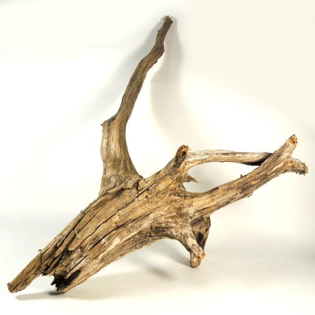 流木水槽レイアウトatf L1 水槽60cm向き 飼育ケージ 変形流木 流木素材 ディスプレイ 洗浄済み無加工 塩分ゼロ 送料無料 一部除く 返金保証 長良川流木 Ratf L1 450s 流木と流木 通販 Yahoo ショッピング