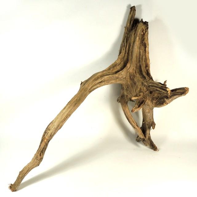 流木水槽レイアウトatf L1 水槽60cm向き 飼育ケージ 変形流木 流木素材 ディスプレイ 洗浄済み無加工 塩分ゼロ 送料無料 一部除く 返金保証 長良川流木 Ratf L1 450s 流木と流木 通販 Yahoo ショッピング
