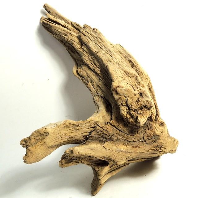 流木水槽レイアウトatf S76 水槽30cm向き 飼育ケージ 変形流木素材 インテリア アート ディスプレイ 洗浄済み無加工 塩分ゼロ 送料無料 返金保証 長良川流木 Ratf S76 180s 流木と流木 通販 Yahoo ショッピング