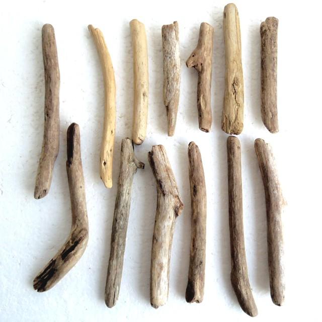 流木お試しセット1000a 特小型流木素材diy用 洗浄済み無加工 初回限定 送料無料返金保証 長良川流木専門店 流木と流木 Rta 100s 流木 と流木 通販 Yahoo ショッピング