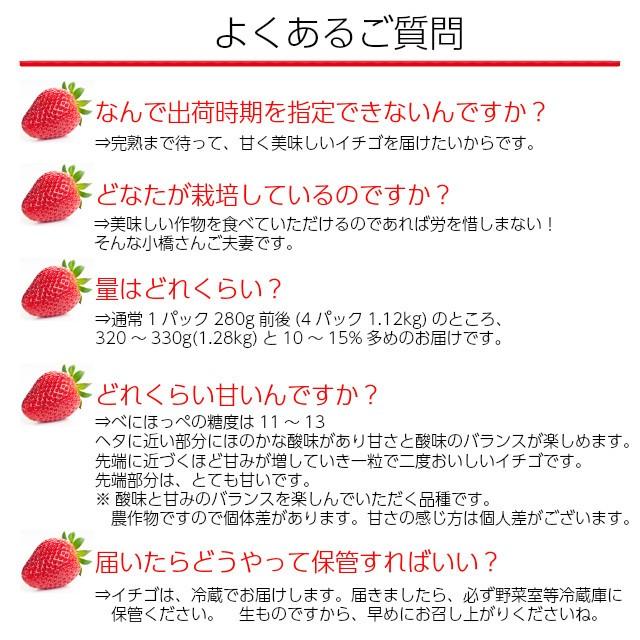 いちご イチゴ 小橋さんちの べにほっぺ ４パック こだわりの完熟出荷だから１粒で２度楽しめる 甘くて美味しい新鮮イチゴ 苺 茨城産 ギフト Kb011 おいしいねいばらき 通販 Yahoo ショッピング