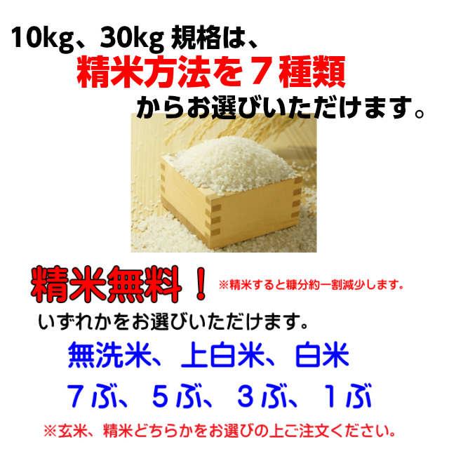 米 こしひかり 玄米 令和５年産 矢口さんちの 天の川のめぐみ 茨城コシヒカリ　30kg精米後27kg 精米無料 冷めてもおいしい  お取り寄せ｜oishiine-ibaraki｜03