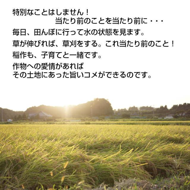 米 こしひかり 玄米 令和５年産 矢口さんちの 天の川のめぐみ 茨城コシヒカリ　30kg精米後27kg 精米無料 冷めてもおいしい  お取り寄せ｜oishiine-ibaraki｜05