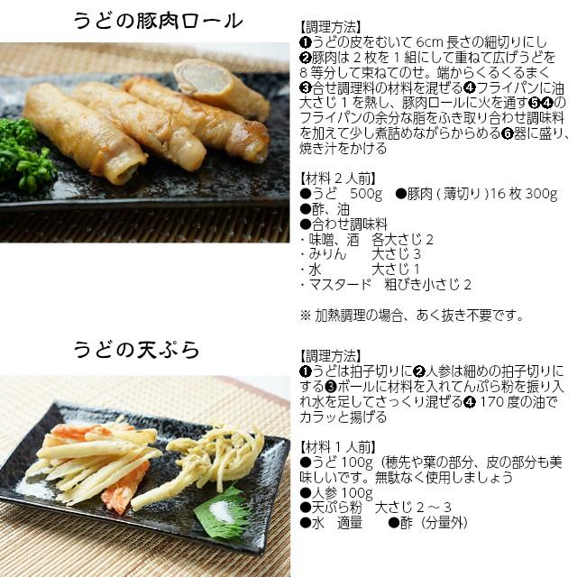 お試し 独活 ウド うど 桜井さんちの筑波白うど バラ詰め約1kg 1 5kg入り Sud004 おいしいねいばらき 通販 Yahoo ショッピング